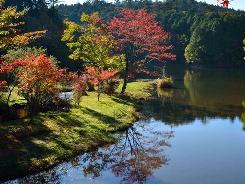 設楽町　きららの森