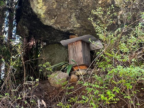山中に据えられた巣箱
