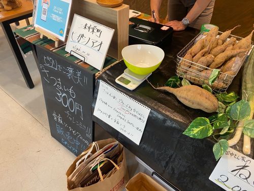 三条市栄町で農家をやっているヒガシノアオさん！！