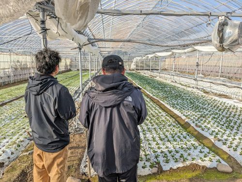 実際にハウス農家の話をきくとイメージしやすくなります