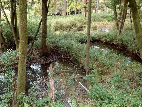 池の間の細い１人通れる墓道と、田んぼの水源の池。