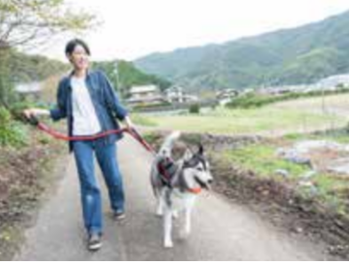 愛犬と散歩