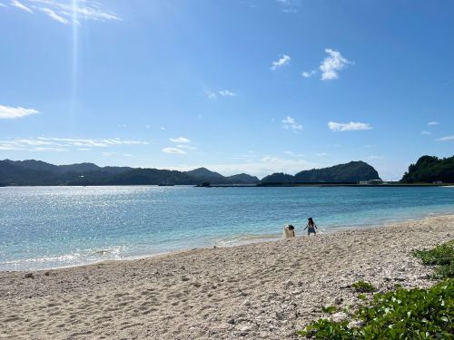 父島直売所の裏は公園と海岸。