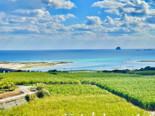 久米島の海とさとうきび畑