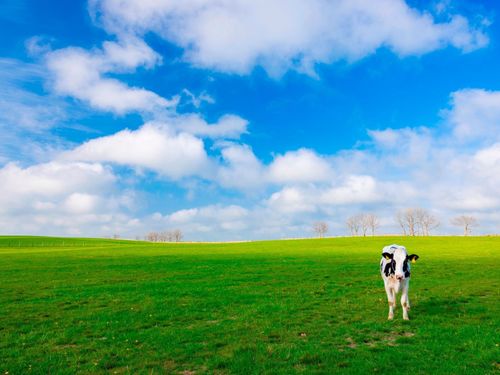 青空と新緑が織りなす、絵本のような風景。理想の子育て環境がここにあります。