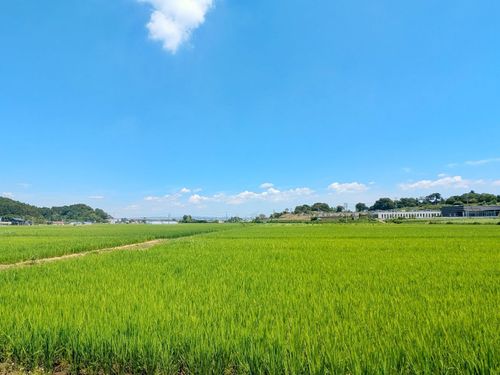 四季の変化や自然の循環を感じることができる地域です