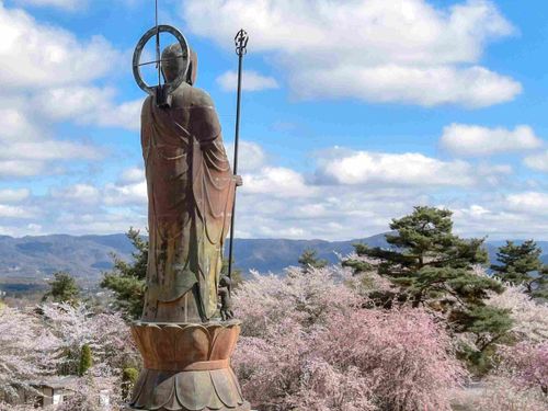 春、町内に咲き乱れる桜