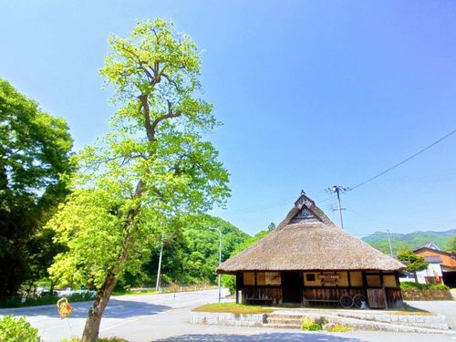東草野地域の風景