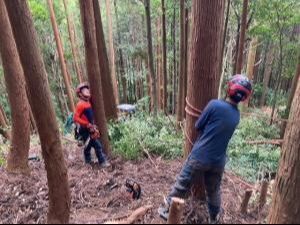 【長門市】林業の地域おこし協力隊が活動中！