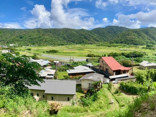 秋名地区には奄美群島最大級の田園が広がります