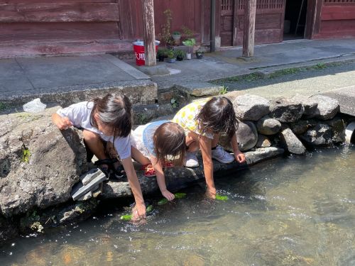 もぎたてのきゅうりを川で冷やして食べる大塚さんの子どもたち 