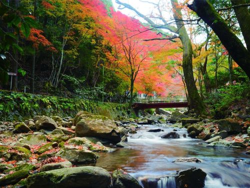 くらがり渓谷（岡崎市額田地区）