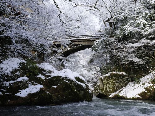 こおろぎ橋