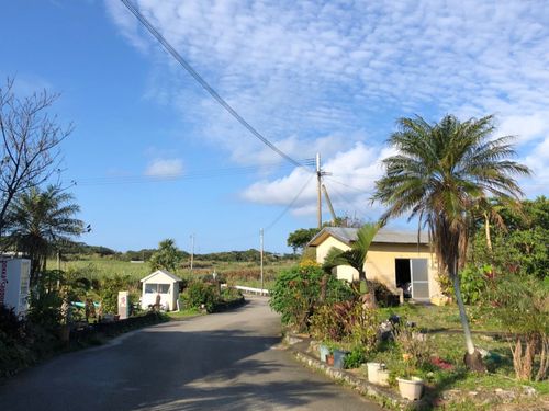 広い空とさとうきび畑が広がる島の風景と、ゆっくりな島時間
