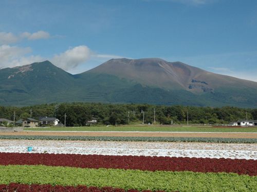 浅間山の麓で高原野菜の栽培が盛んです