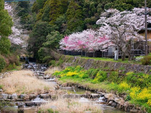 春の景色