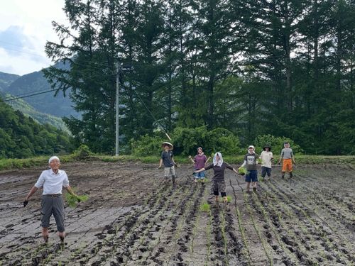 脚本家・絵描き・居候・元居候の人たちと田植え