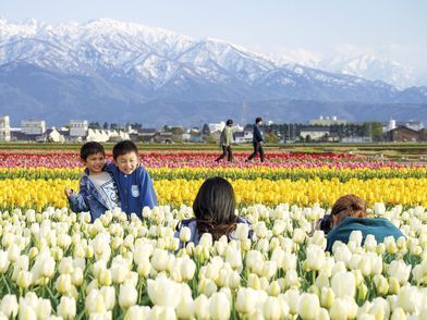 入善町