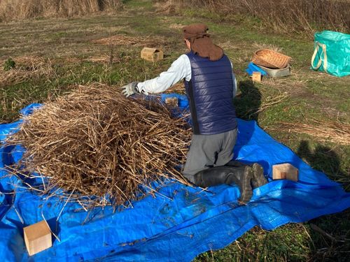 手刈りで貴重なそばをやさしく収穫