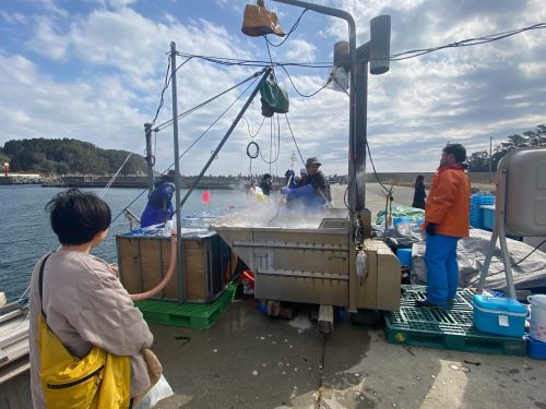 まち案内の様子