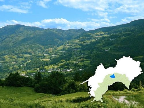 地域に広がる棚田