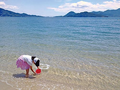 一面に広がる瀬戸内海でのびのび海遊び