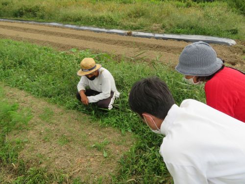 農場で話をうかがう