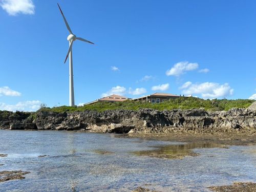 リーフ際から見た島の風景。潮が引いた時しか見れない貴重な風景。