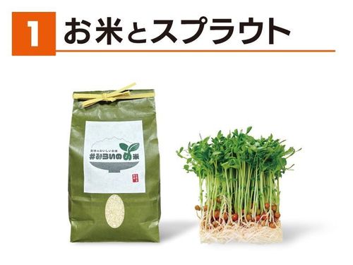 お米とスプラウト