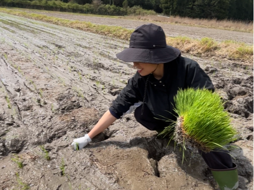 泥んこ田植えたのしい！