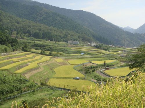 宮垣の棚田