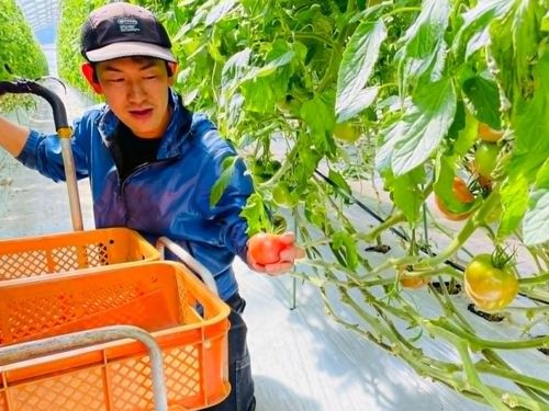 ハウス栽培に取り組まれている農家さん