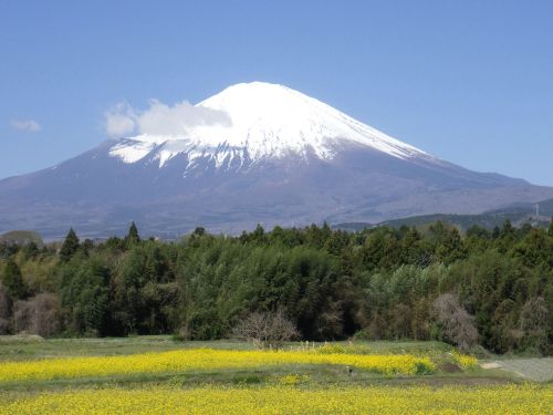 どこにいても日本一の頂きを感じられる。雄大な富士山が見える環境が一番の推しです。