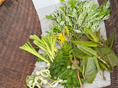 春のさとやま味覚体験🌱みんなで採った山菜を天ぷらに