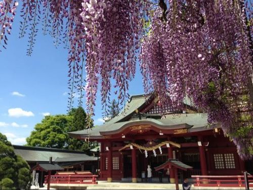 笠間稲荷神社