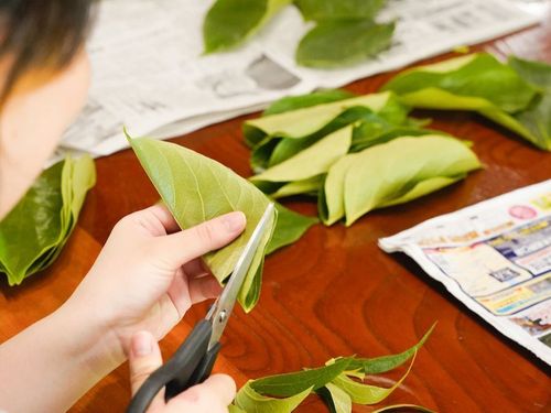 仕事の形もさまざま！マルチに働くもあり、自分で始めるもあり◎。