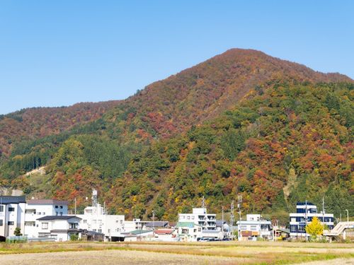 路線バス運行エリアは自然豊かで車線変更のほぼなく初心者でも運転しやすい道です