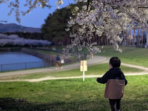 森さんが暮らす函館市の風景
