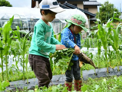 どの保育園も小学校も、農との親しみ・自分の手で野菜を育てることをやっています