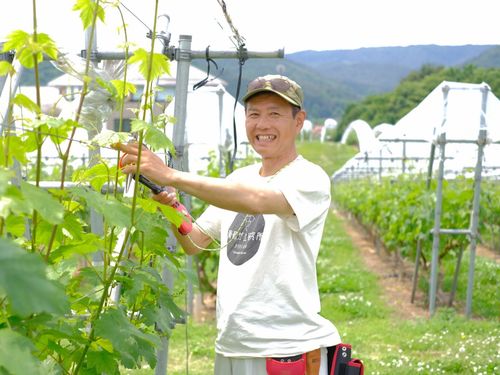協力隊高木さん。ぶどう栽培をとことん楽しんでいます