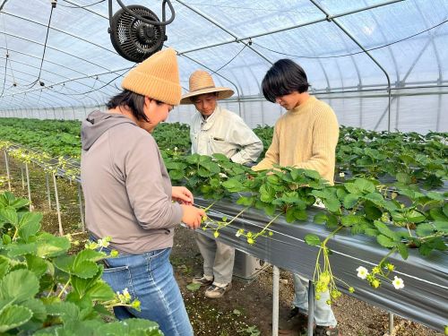 地域の農家さんで一緒に作業