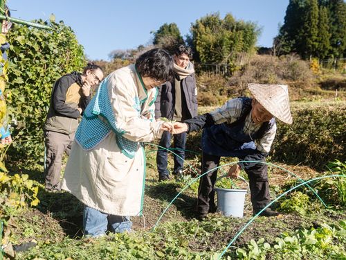 畑を見せてもらいながら作業のお手伝いも