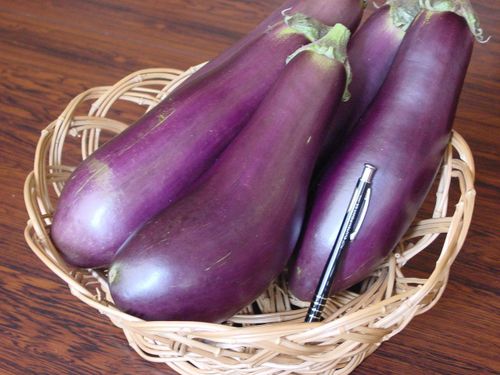 特産品のていざなす