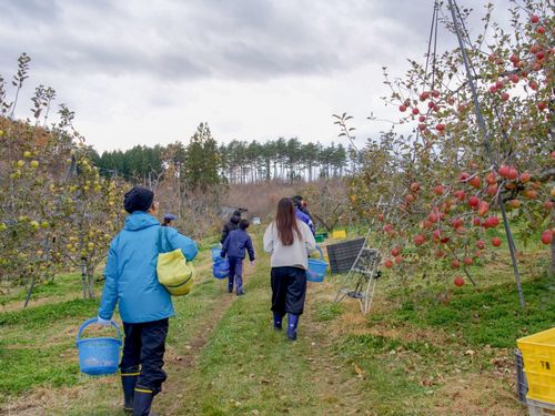 今回体験する果樹農家さん
