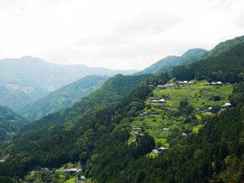 山肌を切り開いて作られた集落。祖谷にはこのような山村がたくさん点在しています。