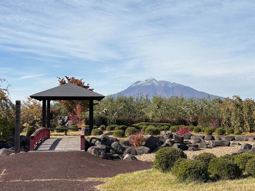 藤崎町から見る岩木山の景色も最高です！彩り豊かな、一期一会の景色に出会えます！