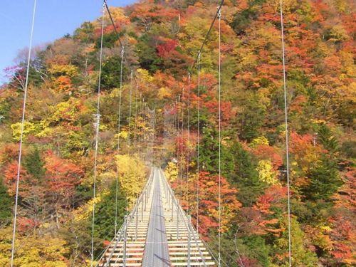 自然と文化が息づく中山間地域「オクシズ」の紅葉
