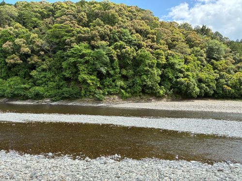 対岸　広葉樹の山並みと平らな白い石が重なり、透き通った水が流れる和歌山の川辺