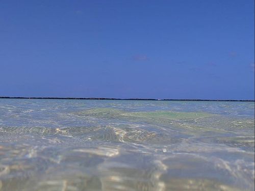 透明度満点の海