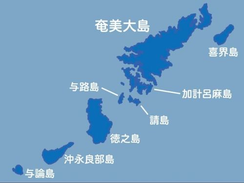奄美群島で2番目に大きな島です🌴